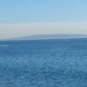 Meet your Posher, Miguel